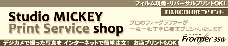 �l�b�g�v�����g���[���̕i���Ɖ��i�I