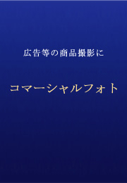 �I�������A�L���`���V�A�p���t���b�g�A�J�^���O�A�C���^�[�l�b�g�V���b�s���O�p�ɁA�B�e����B�萔�Ǝ��ԍH���̕�����₷�����i�ݒ���������Ă���܂��B